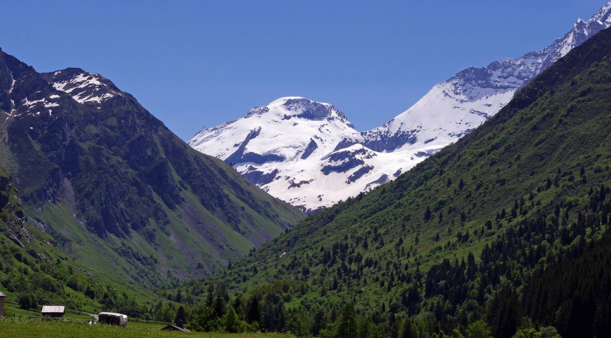 Grow a garden, the Vanoise