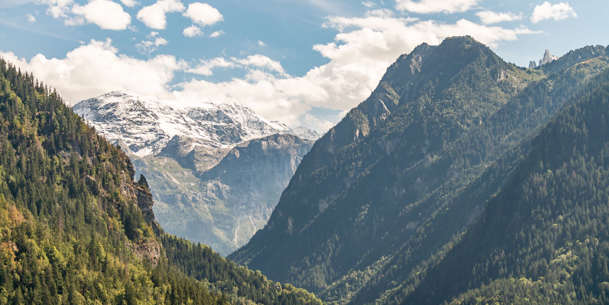 Les ALPAGES de CHAMPAGNY - 100% NATURE - Vue Dômes de la VANOISE